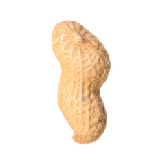 One fresh unpeeled peanut isolated on white