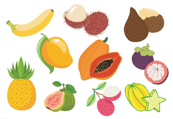 hand drawn of colorful tropical fruits