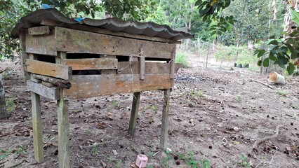 Rustic Wooden Birdhouse in a Lush Jungle Setting
