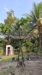 Satellite Dish in Tropical Backyard