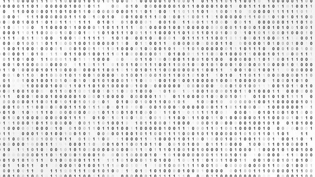 Binary Numbers Matrix Background. Binary Digits on a White Background. 4K