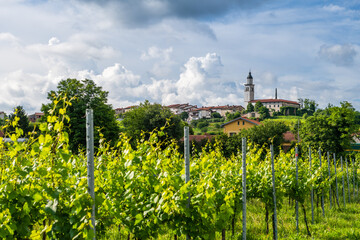 Charming Small Town Amidst Vineyards in Vipava Valley, Slovenia