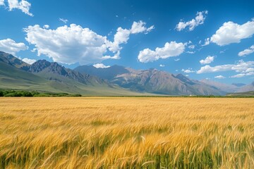 Fototapeta premium Golden Wheat Field with Majestic Mountains and Blue Sky