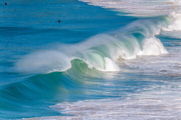 Waves at Whale Beach