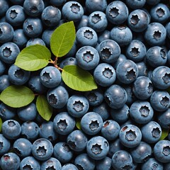 blueberries on a white background
