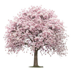 Fototapeta premium Plant And Tree, Generative AI