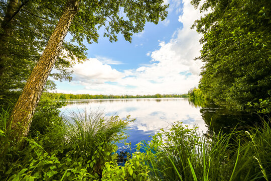 Nature at Egelsee near Manching. Views of the lake and the surrounding landscape. Waters in Bavaria.
