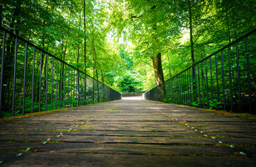 Path through nature at the Felsenmeer in Hemer. Forested biotope in the Sauerland.
