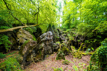 Path through nature at the Felsenmeer in Hemer. Forested biotope with rocks in the Sauerland.
