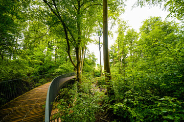 Path through nature at the Felsenmeer in Hemer. Forested biotope in the Sauerland.
