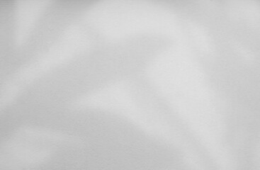 Obraz premium Shadow light summer background sunight overlay nature on room cement wall floor abstract blur muckup effect grey minimal platform for presentation product backdrop, wallpaper template display.