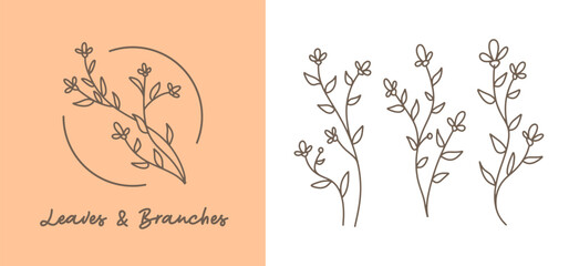 Organic fern illustration and badges logo template. Set of Minimalist stamp labels for tag fern leaves. Collection of hand drawn natural sign simple design 02