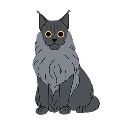 Cute cat concept. Adorable domestic maine coon cat. Fluffy silver grey kitten sitting. Cartoon flat vector illustration isolated on white background