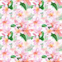 Tropical flowers pink plumeria with leaves. Watercolor illustration seamless pattern on white background. For design and decoration, fabrics, wallpaper, souvenirs