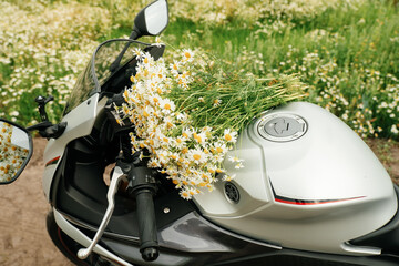 A motorcycle in a field with daisies. Summer, daisies.
