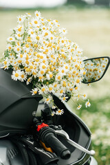 A motorcycle in a field with daisies. Summer, daisies.