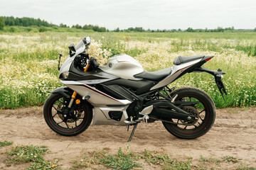 A motorcycle in a field with daisies. Summer, daisies.