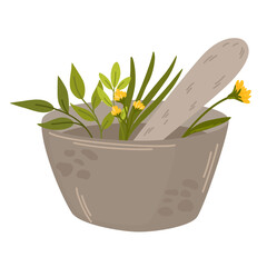 Grinding herbs in mortar with pestle. Organic natural remedy from herbal leaf plant in bowl. Pistil and pot for cooking homeopathy medicine. Flat vector illustration isolated on white background