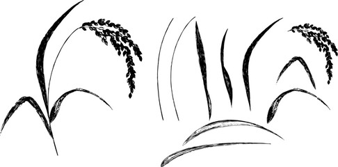 ペンで描いた稲穂のシルエット