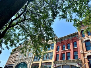 Row of historic buildings behind tree branch in Troy, NY © Cavan