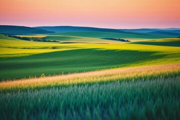 A vast green landscape bathed in the warm glow of a summer sunset, with fluffy clouds scattered across a clear blue sky