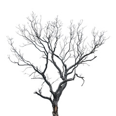 Fototapeta premium Plant And Tree, Generative AI