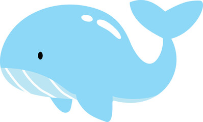 Sea Life Illustration