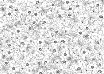 美しい花の線画のボタニカル背景素材