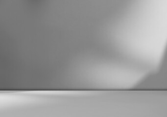 Background wall floor shadow grey leaf white light kitchen abstract studio product minimal room...