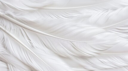 Closeup of delicate white feathers on a serene background, representing peace and spirituality