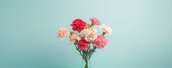 Obraz premium Radiant Carnation Bouquet Symbolizing Warmth and Sincerity on Solid Color Background