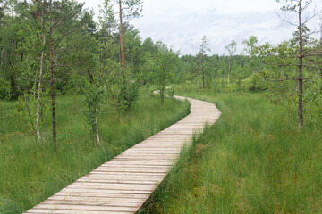 wooden sidewalk on educational nature trail in the protected fen landscape