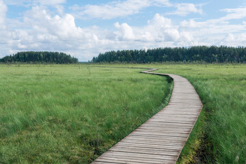 wooden walkways on the tourist route through the swamp, educational nature trail in the protected fen landscape