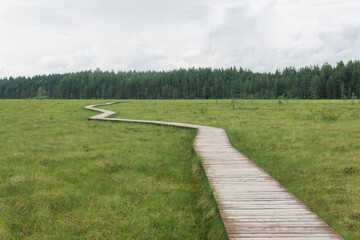 wooden walkways on the tourist route through the swamp, educational nature trail in the protected fen landscape