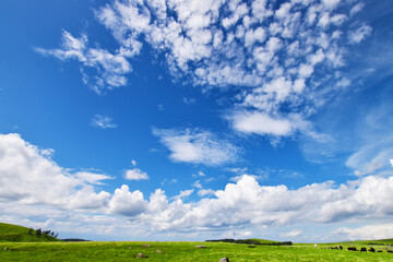 青空と雲と草原