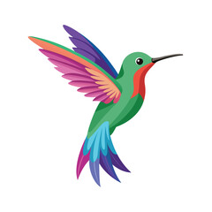 Bird  color Vector Illustration
