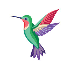Bird  color Vector Illustration
