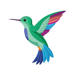 Bird  color Vector Illustration
