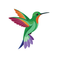 Bird  color Vector Illustration
