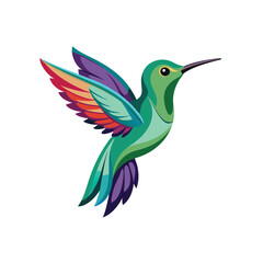 Bird  color Vector Illustration
