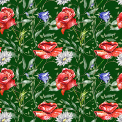 Wild field flowers watercolor pattern on dark green. Cute floral seamless texture with chamomile, poppy, lupin, cornflower, forget-me-not on white background. Meadow plants