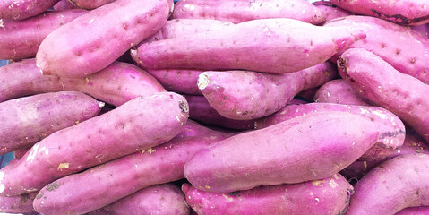 Stacked Sweet Potatoes（積み上げられたたくさんのサツマイモ）