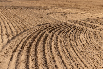 furrows in the field after tillage during sowing