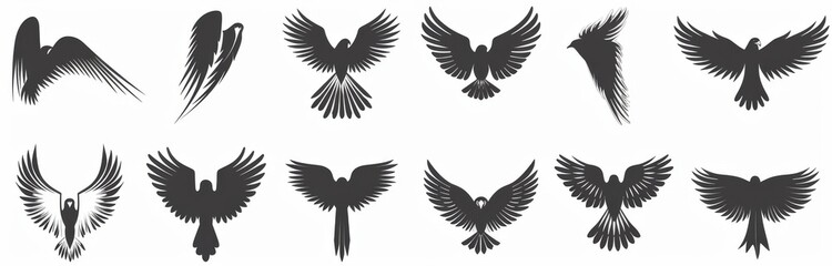 Obraz premium It is the perfect set for logo, emblem, badge design, heraldry, animal symbolism, and much more. Choose from simple to intricate feather detail.