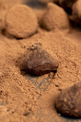 sweet candies made from natural ingredients with cocoa beans