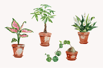 Fototapeta premium Watercolor different indoor plant collection