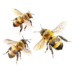 Bees watercolor illustration isolated on transparent. png file for art work, posters, posters, cards, holiday decor.
