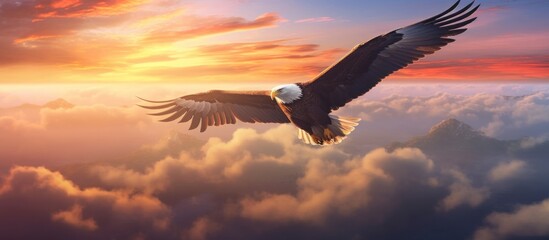 Obraz premium Bald Eagle Soaring Through Sunset Clouds