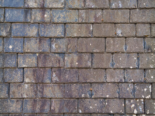 Rows of grey, weathered slate roofing tiles.