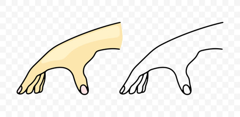 Hand, wrist, touches and touching, graphic design. Sense organs, arm, touch and feel, vector design and illustration